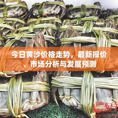 今日黃沙價格走勢，最新報價、市場分析與發(fā)展預測