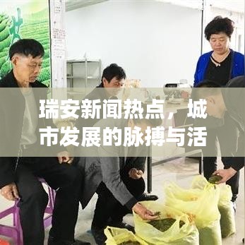 瑞安新聞熱點(diǎn)，城市發(fā)展的脈搏與活力四溢的瑞安風(fēng)采