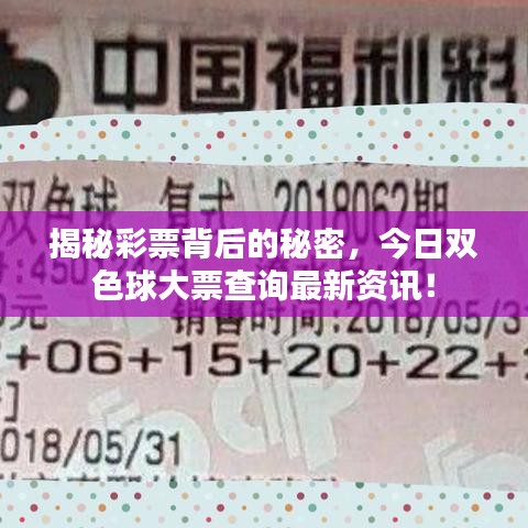 揭秘彩票背后的秘密，今日雙色球大票查詢最新資訊！