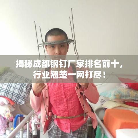 揭秘成都鋼釘廠家排名前十，行業(yè)翹楚一網(wǎng)打盡！