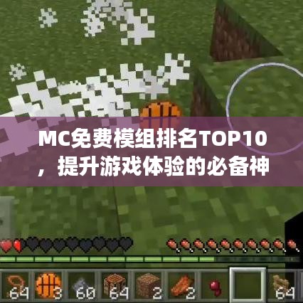 MC免費(fèi)模組排名TOP10，提升游戲體驗(yàn)的必備神器！
