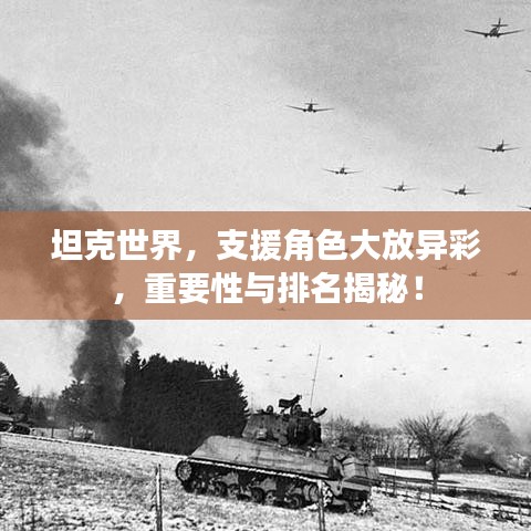 坦克世界，支援角色大放異彩，重要性與排名揭秘！