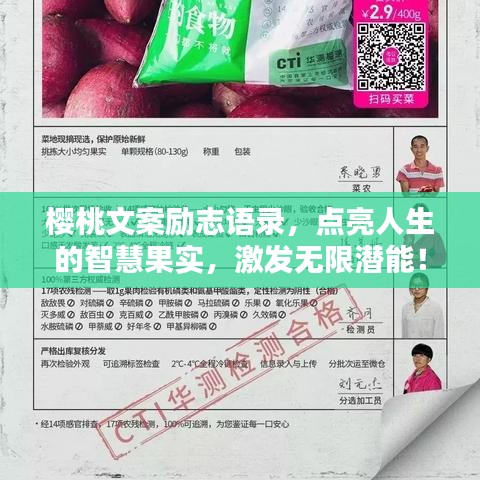 櫻桃文案勵志語錄，點亮人生的智慧果實，激發(fā)無限潛能！