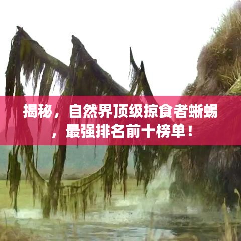 揭秘，自然界頂級掠食者蜥蜴，最強排名前十榜單！