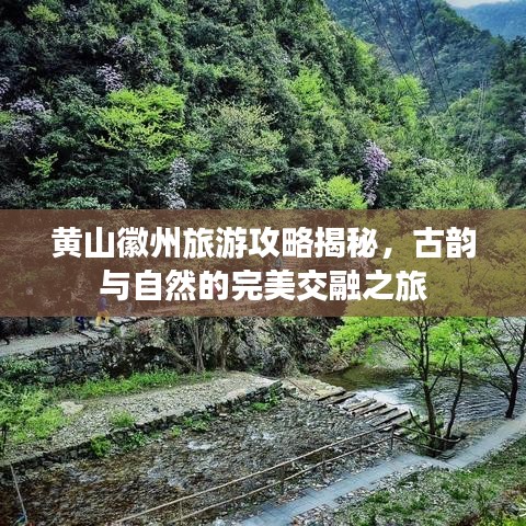 黃山徽州旅游攻略揭秘，古韻與自然的完美交融之旅