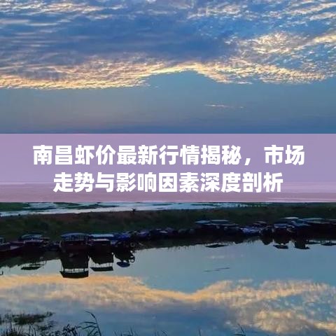 南昌蝦價(jià)最新行情揭秘，市場走勢與影響因素深度剖析