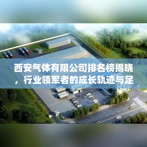 西安氣體有限公司排名榜揭曉，行業(yè)領軍者的成長軌跡與足跡探索
