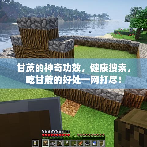 甘蔗的神奇功效，健康搜索，吃甘蔗的好處一網(wǎng)打盡！