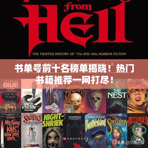 書單號前十名榜單揭曉！熱門書籍推薦一網(wǎng)打盡！