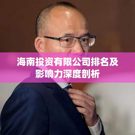 海南投資有限公司排名及影響力深度剖析