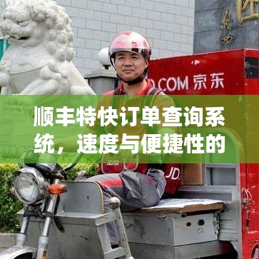 順豐特快訂單查詢系統(tǒng)，速度與便捷性的極致融合