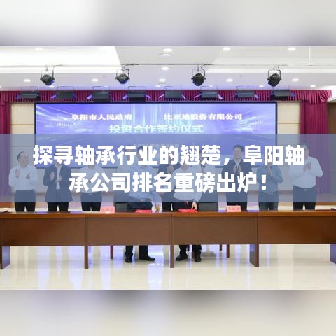 探尋軸承行業(yè)的翹楚，阜陽軸承公司排名重磅出爐！