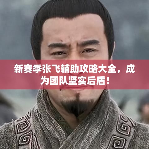 新賽季張飛輔助攻略大全，成為團隊堅實后盾！