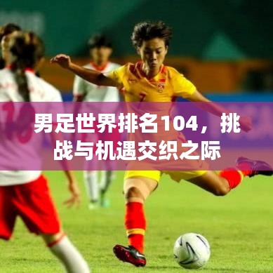 男足世界排名104，挑戰(zhàn)與機(jī)遇交織之際