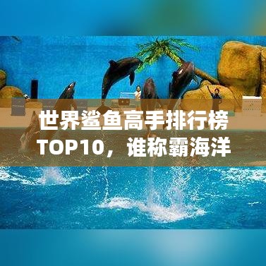 世界鯊魚高手排行榜TOP10，誰稱霸海洋之巔？