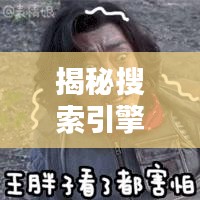揭秘搜索引擎背后的力量，深度探索真相，百度為你揭秘！