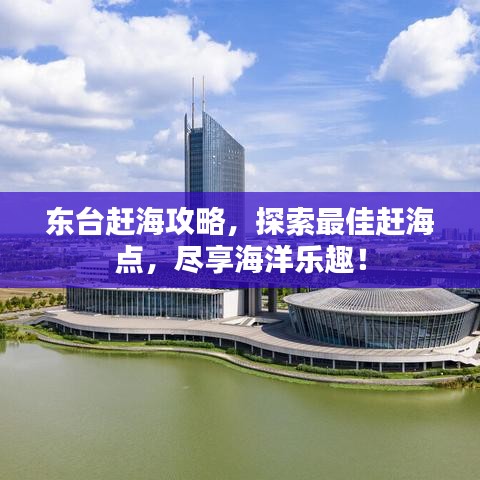 東臺趕海攻略，探索最佳趕海點(diǎn)，盡享海洋樂趣！