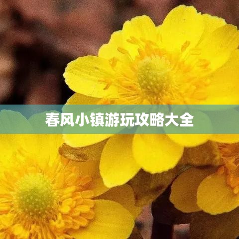 春風(fēng)小鎮(zhèn)游玩攻略大全