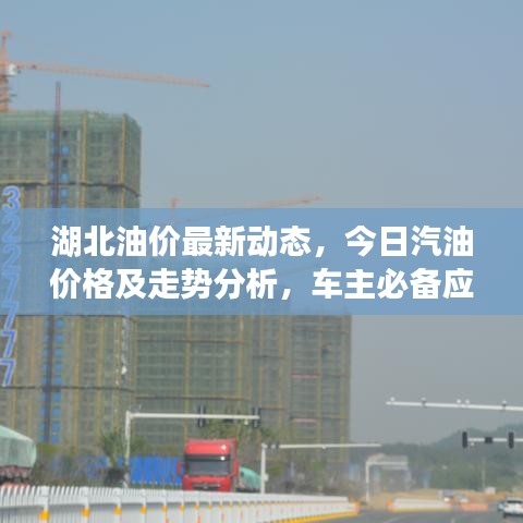 湖北油價最新動態(tài)，今日汽油價格及走勢分析，車主必備應(yīng)對策略！