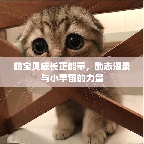 萌寶貝成長正能量，勵(lì)志語錄與小宇宙的力量