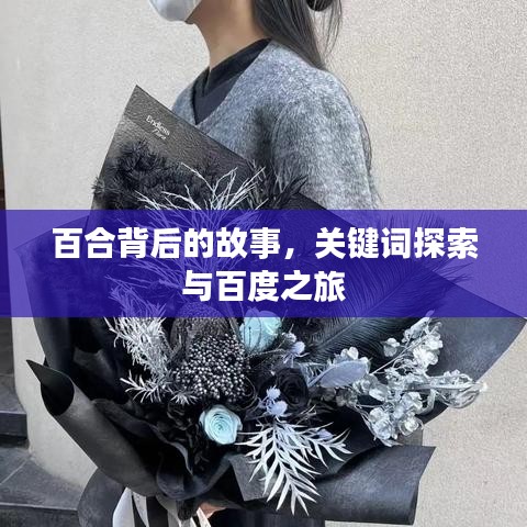 百合背后的故事，關(guān)鍵詞探索與百度之旅