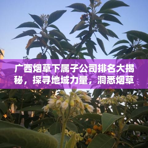 廣西煙草下屬子公司排名大揭秘，探尋地域力量，洞悉煙草行業(yè)實(shí)力！