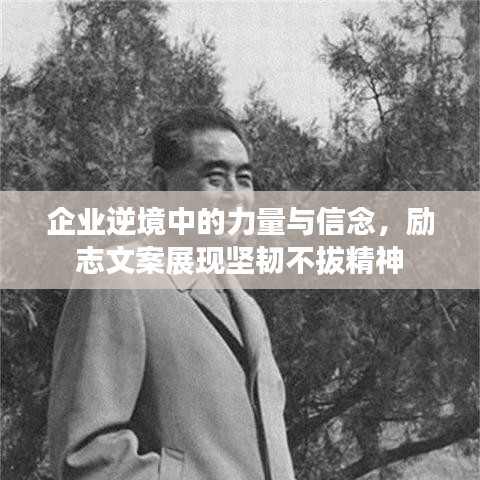 企業(yè)逆境中的力量與信念，勵志文案展現(xiàn)堅韌不拔精神