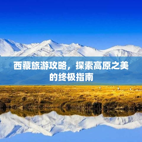 西藏旅游攻略，探索高原之美的終極指南