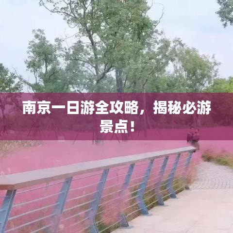 南京一日游全攻略，揭秘必游景點(diǎn)！
