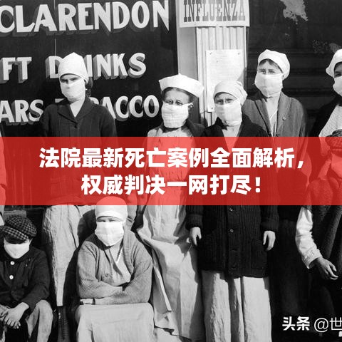 法院最新死亡案例全面解析，權(quán)威判決一網(wǎng)打盡！