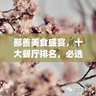 鄯善美食盛宴，十大餐廳排名，必選的美食之旅目的地