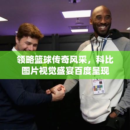 領略籃球傳奇風采，科比圖片視覺盛宴百度呈現(xiàn)