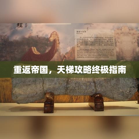 重返帝國，天梯攻略終極指南