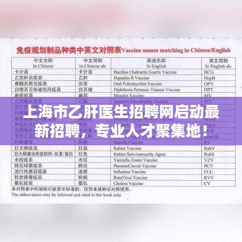 上海市乙肝醫(yī)生招聘網(wǎng)啟動最新招聘，專業(yè)人才聚集地！