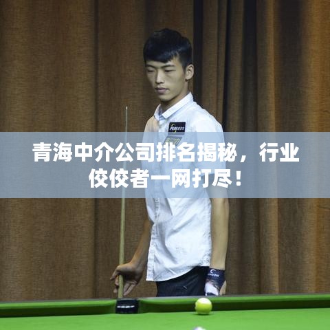 青海中介公司排名揭秘，行業(yè)佼佼者一網(wǎng)打盡！
