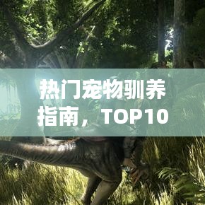 熱門寵物馴養(yǎng)指南，TOP10寵物排名及魅力與養(yǎng)護(hù)秘籍
