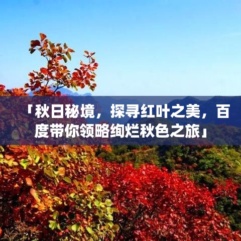 「秋日秘境，探尋紅葉之美，百度帶你領(lǐng)略絢爛秋色之旅」