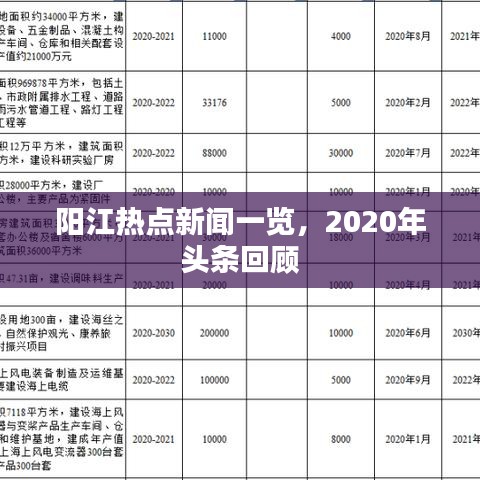 陽江熱點新聞一覽，2020年頭條回顧