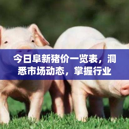 今日阜新豬價一覽表，洞悉市場動態(tài)，掌握行業(yè)趨勢