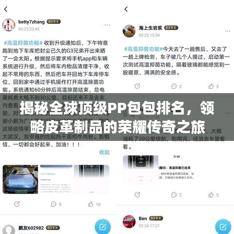 揭秘全球頂級PP包包排名，領略皮革制品的榮耀傳奇之旅