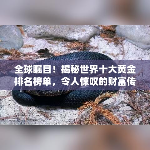 全球矚目！揭秘世界十大黃金排名榜單，令人驚嘆的財(cái)富傳奇！