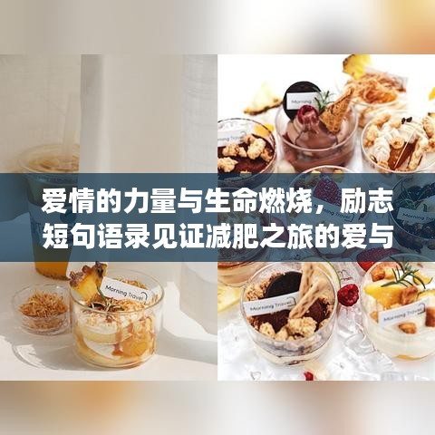 愛情的力量與生命燃燒，勵志短句語錄見證減肥之旅的愛與堅持