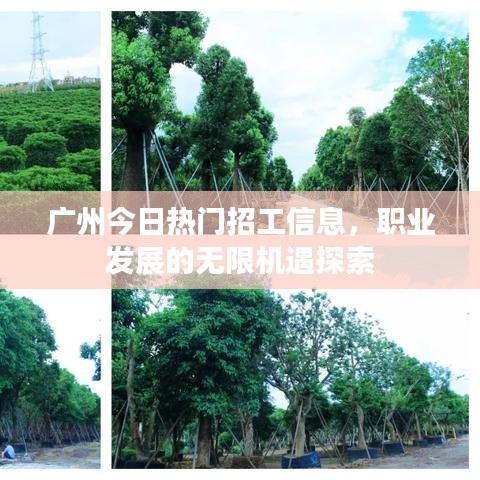 廣州今日熱門招工信息，職業(yè)發(fā)展的無限機(jī)遇探索