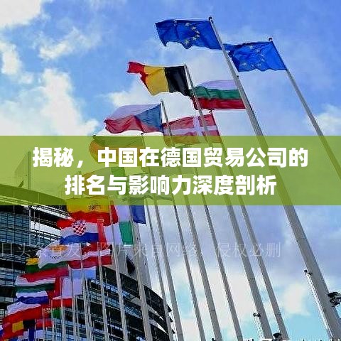 揭秘，中國(guó)在德國(guó)貿(mào)易公司的排名與影響力深度剖析