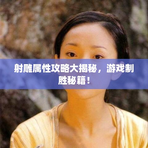 射雕屬性攻略大揭秘，游戲制勝秘籍！