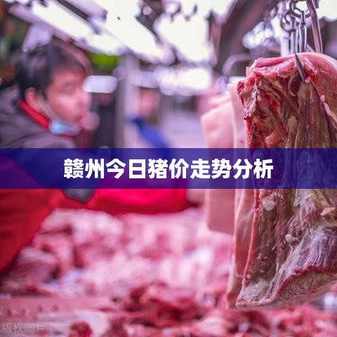 贛州今日豬價走勢分析