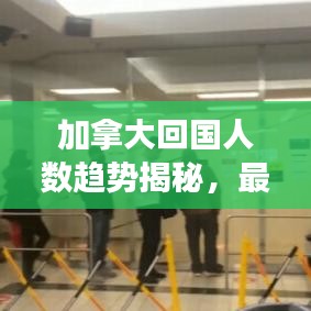 加拿大回國(guó)人數(shù)趨勢(shì)揭秘，最新分析與觀察報(bào)告