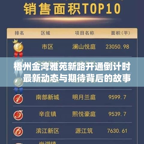 梧州金灣雅苑新路開(kāi)通倒計(jì)時(shí)，最新動(dòng)態(tài)與期待背后的故事解讀