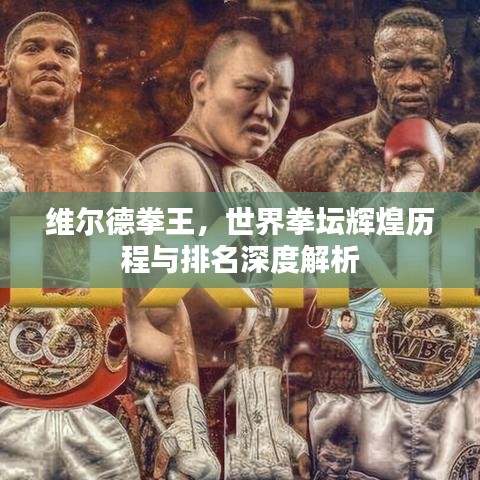 維爾德拳王，世界拳壇輝煌歷程與排名深度解析
